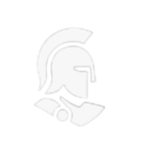 AML Orion Logo